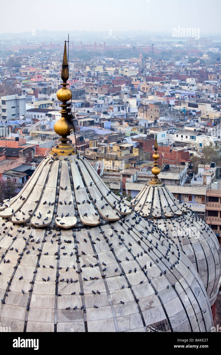 Kuppeln der Moschee Delhi, Jama Masjid Aussicht vom Minarett, Indien Stockfoto