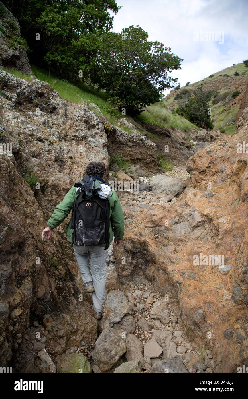 Menschen wandern in Skorpion Canyon, Santa Cruz Island, Channel Islands Nationalpark, Kalifornien Stockfoto