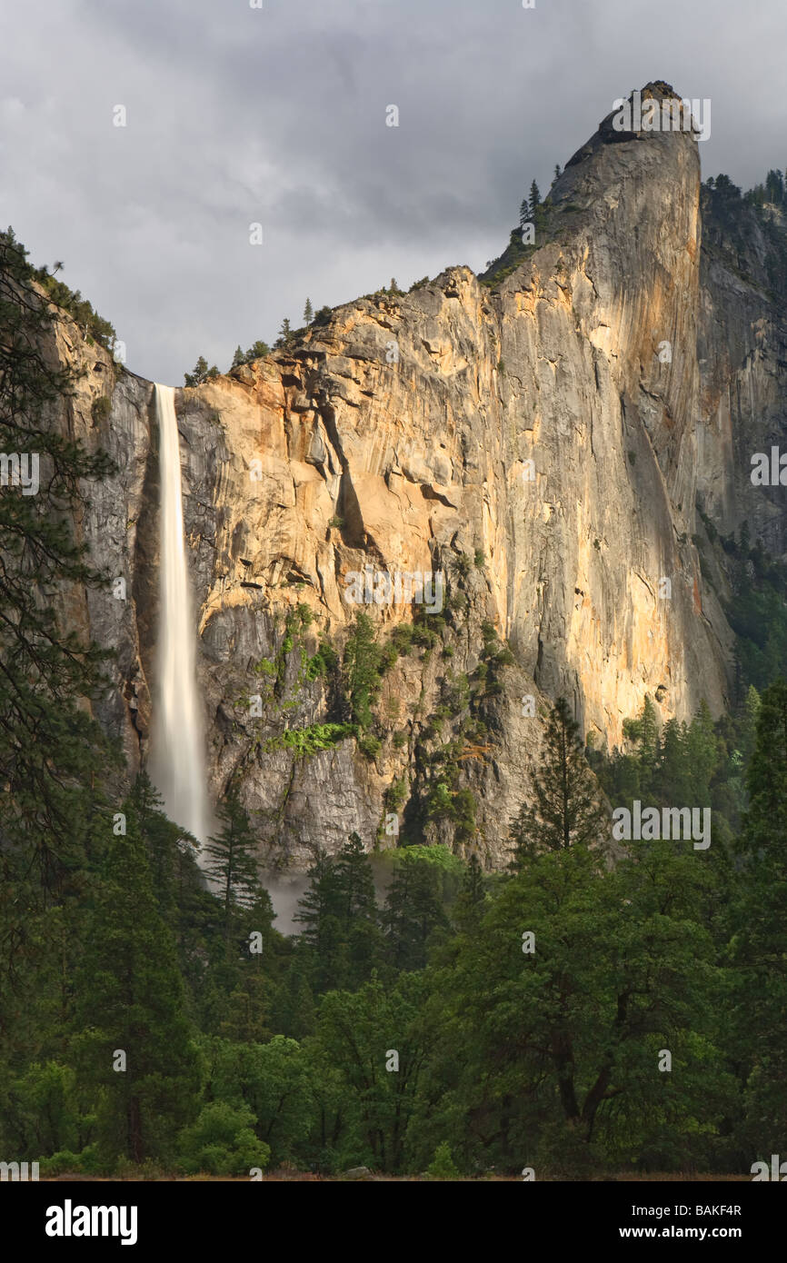 Eine Welle von Sonnenlicht beleuchtet Bridalveil Fall nach einem Sturm vorbei. Yosemite Nationalpark, Kalifornien, USA Stockfoto