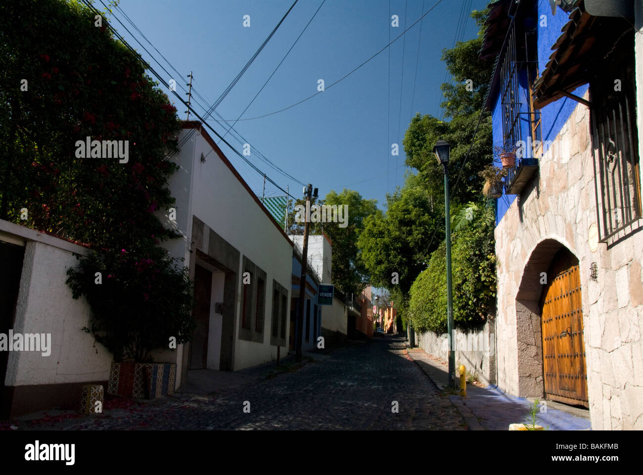 San Angel, Mexiko-Stadt, Mexiko Stockfoto