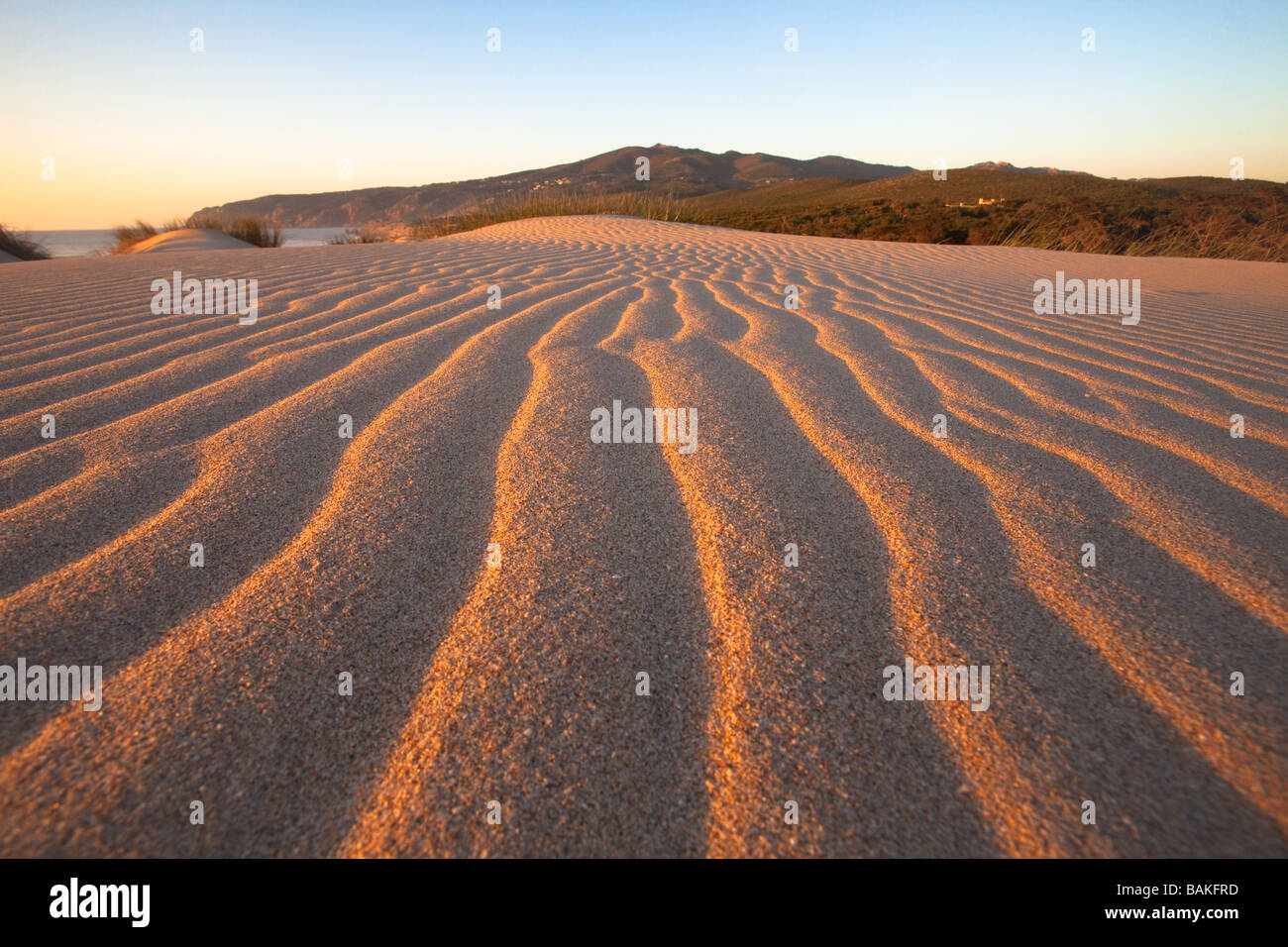 Strand Dünen mit Sintra-Gebirge im Hintergrund, Guincho, Portugal Stockfoto