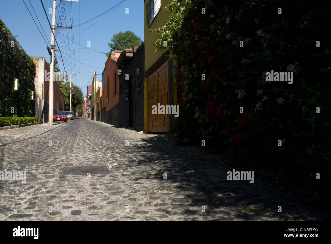 San Angel, Mexiko-Stadt, Mexiko Stockfoto