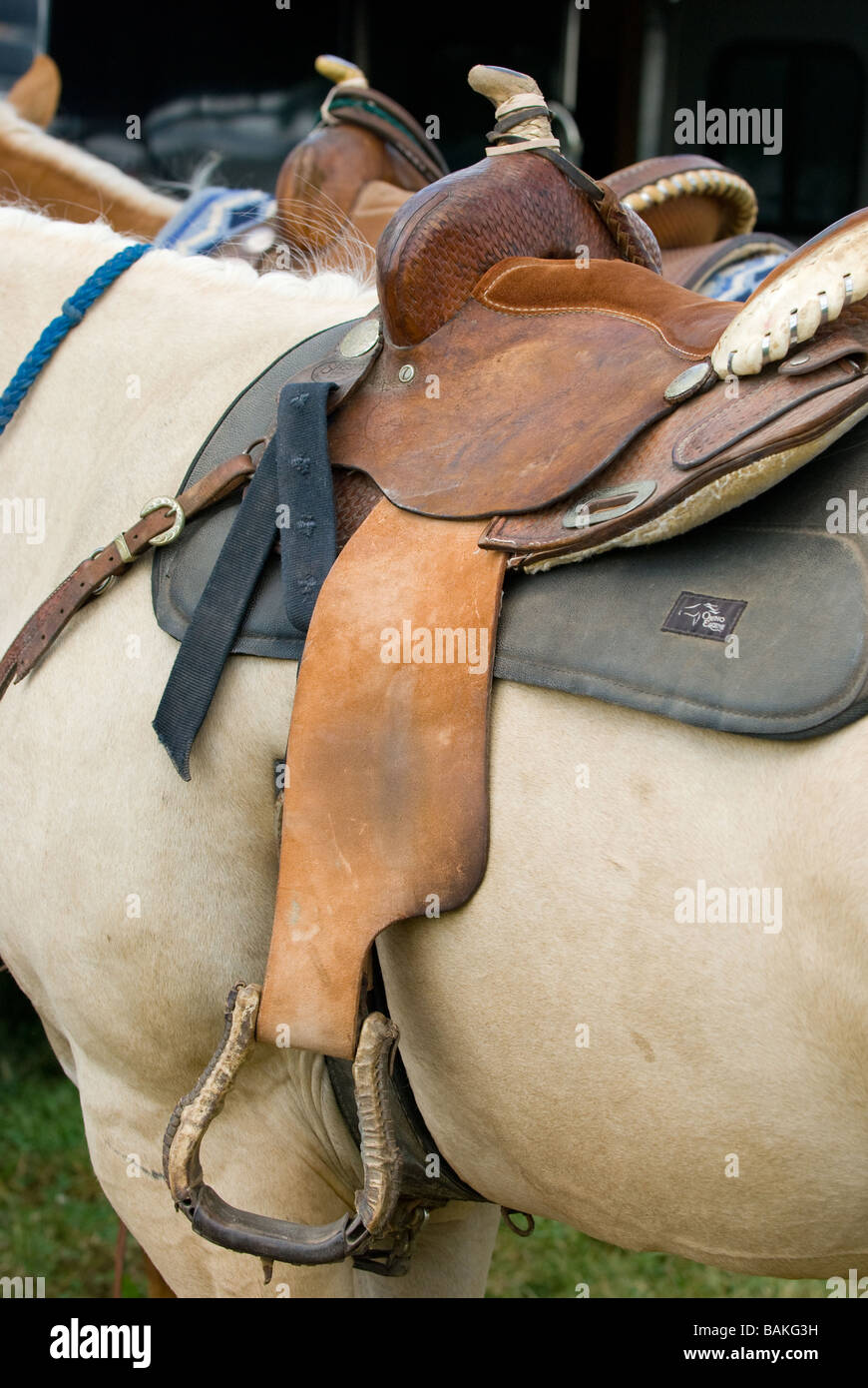 Nahaufnahme von einem Sattel auf dem Pferd Stockfoto