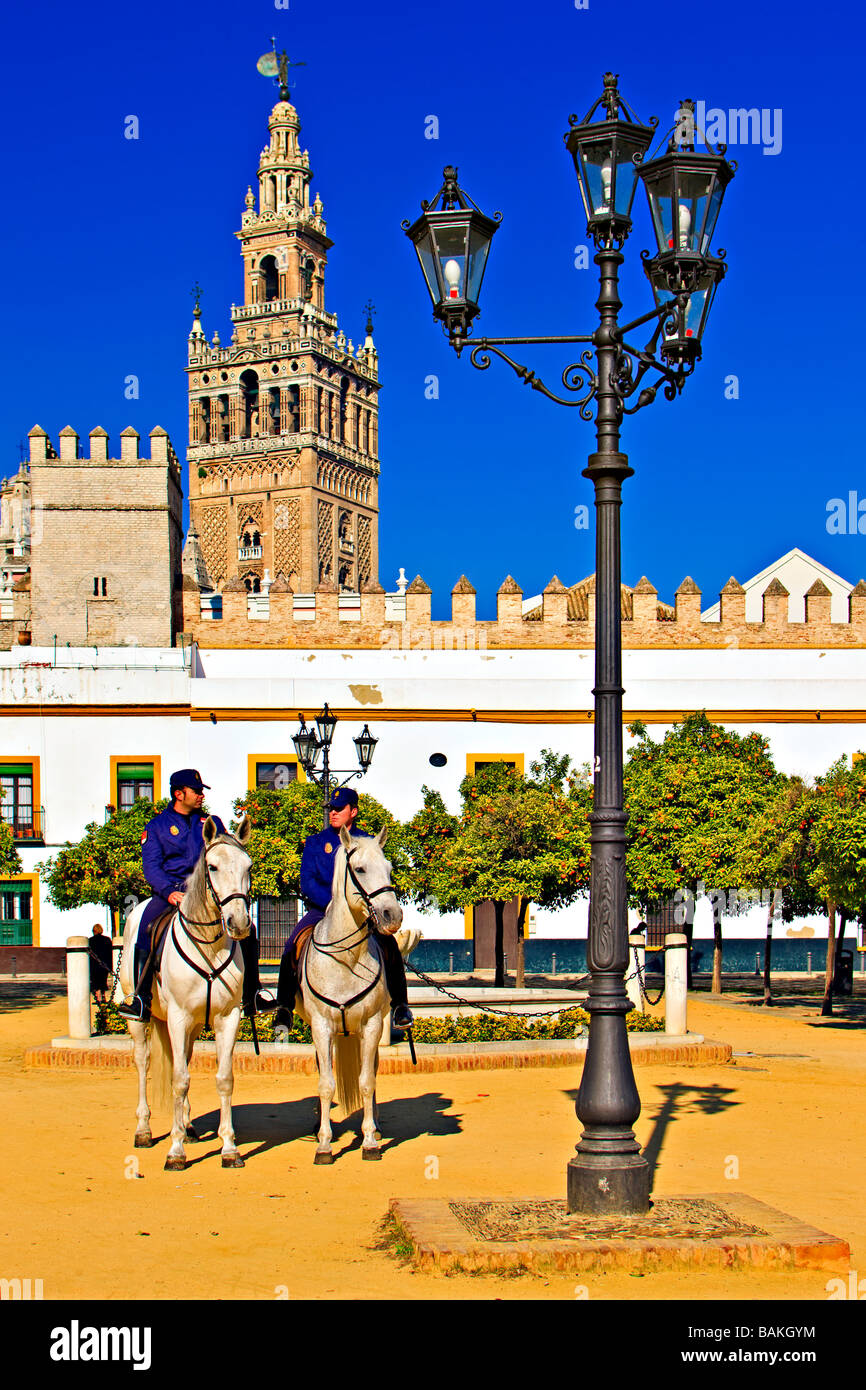 Polizisten auf dem Pferderücken in einem Innenhof der Reales Acazares Backdropped von La Giralda (Bell Tower/Minarett) in Santa Cruz. Stockfoto