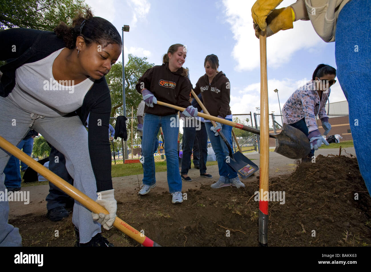 Baumpflanzung in Highland Park, Los Angeles, Kalifornien, USA Stockfoto