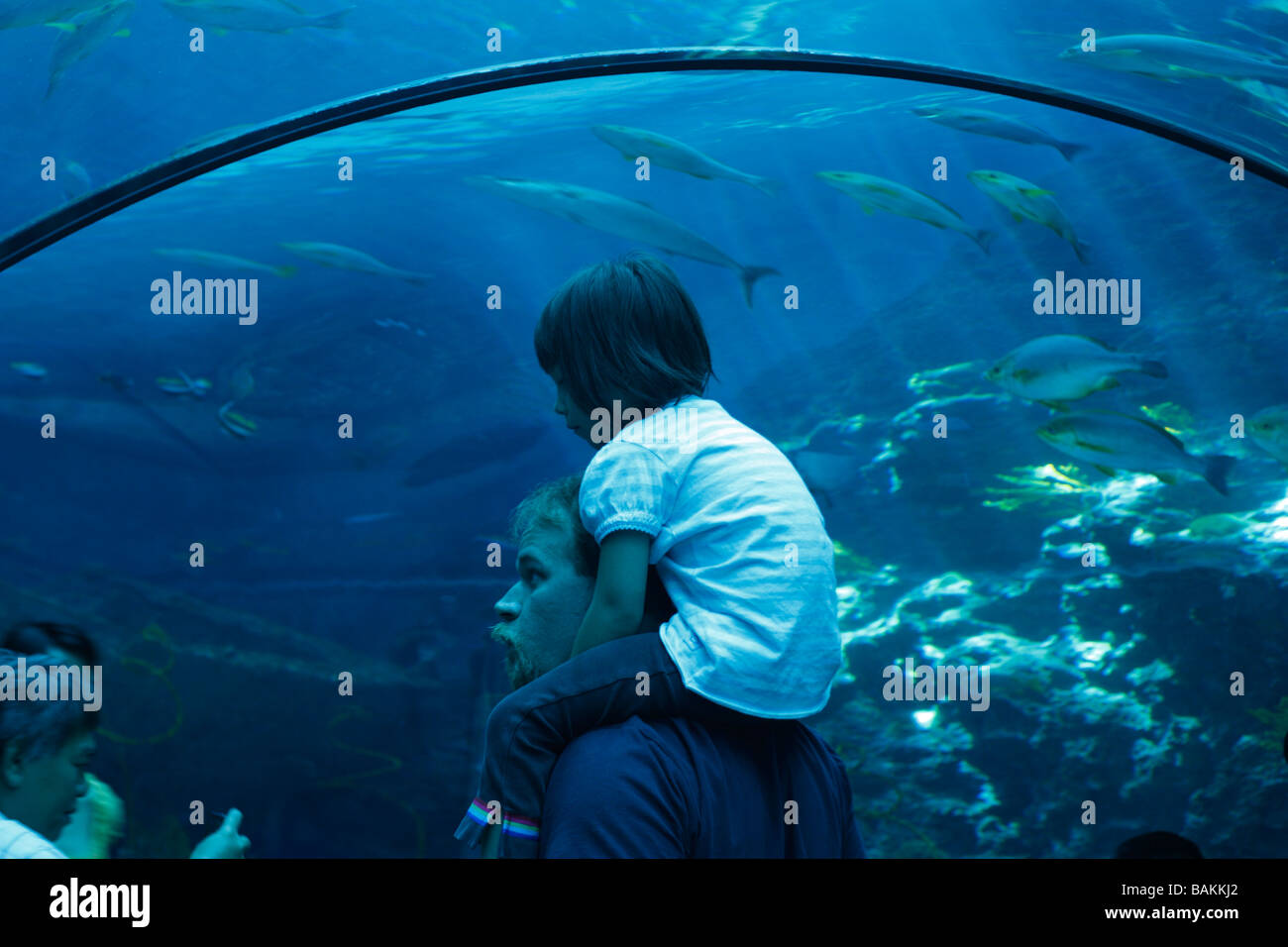 Besucher in den gläsernen Tunnel. National Museum of Marine Biology und Aquarium, Checheng, Pingtung, Taiwan Stockfoto