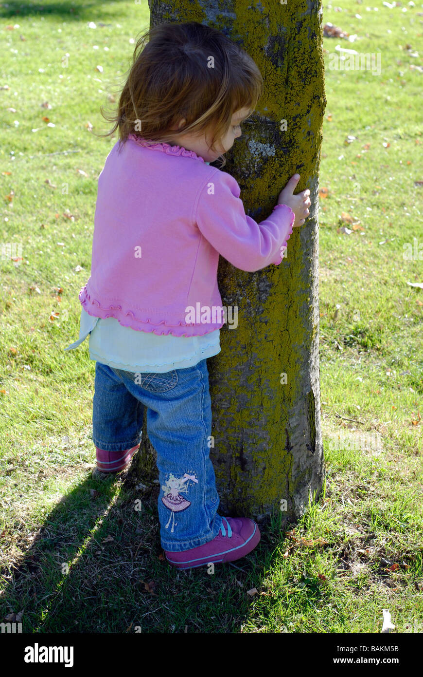 Zwei und eine Hälfte Jahr alt Mädchen umarmt einen Baumstamm Stockfoto