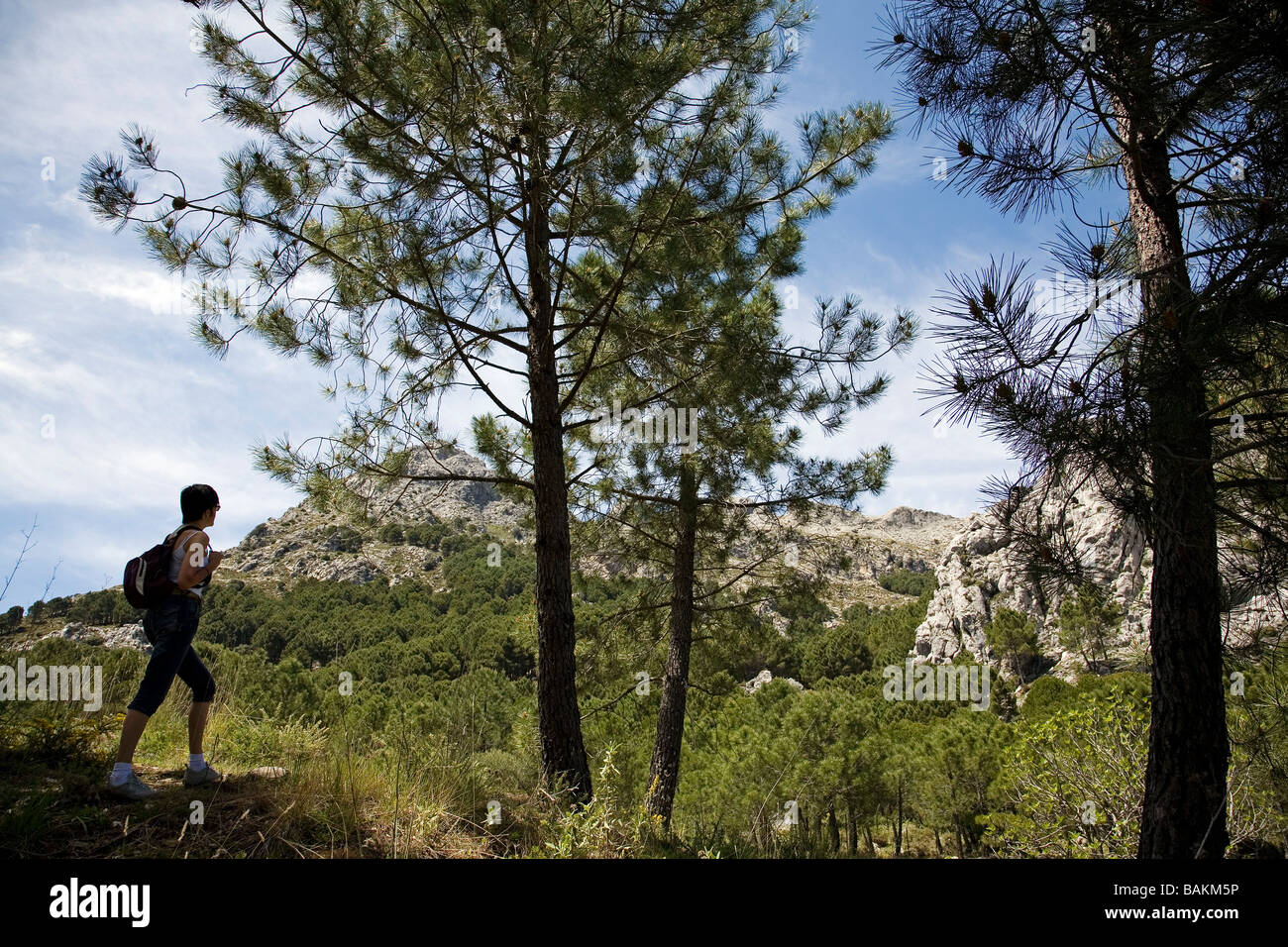 Trekking Sierra de Grazalema Cadiz Andalusien Spanien Stockfoto