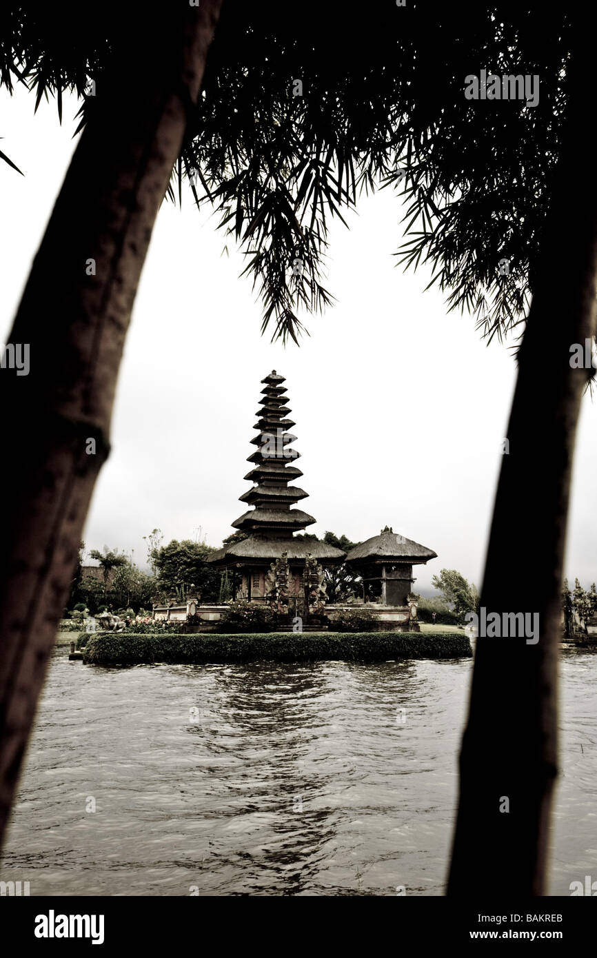 Indonesien, Bali. Bedugul, Lake Bratan. Pura Ulu Danu Tempel, Bambusbäume. Stockfoto