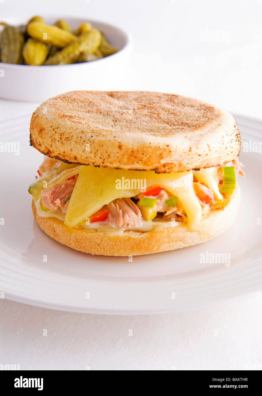 Thunfisch schmelzen Stockfoto