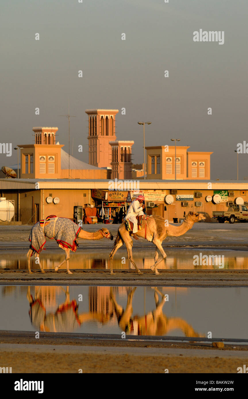 Vereinigte Arabische Emirate, Dubai, Kamel Zug spiegelt sich im Wasser an der Sheikh Zayed Road Stockfoto