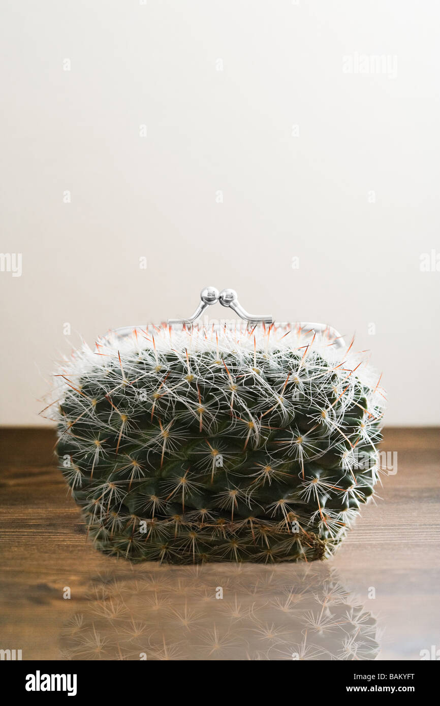 Kaktus-Geldbörse Stockfoto