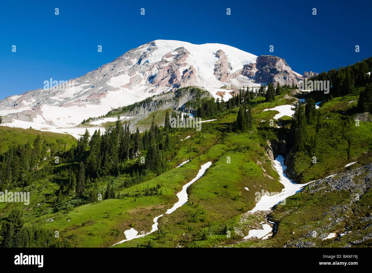 Mount rainier Fotos und Bildmaterial in hoher Auflösung Alamy