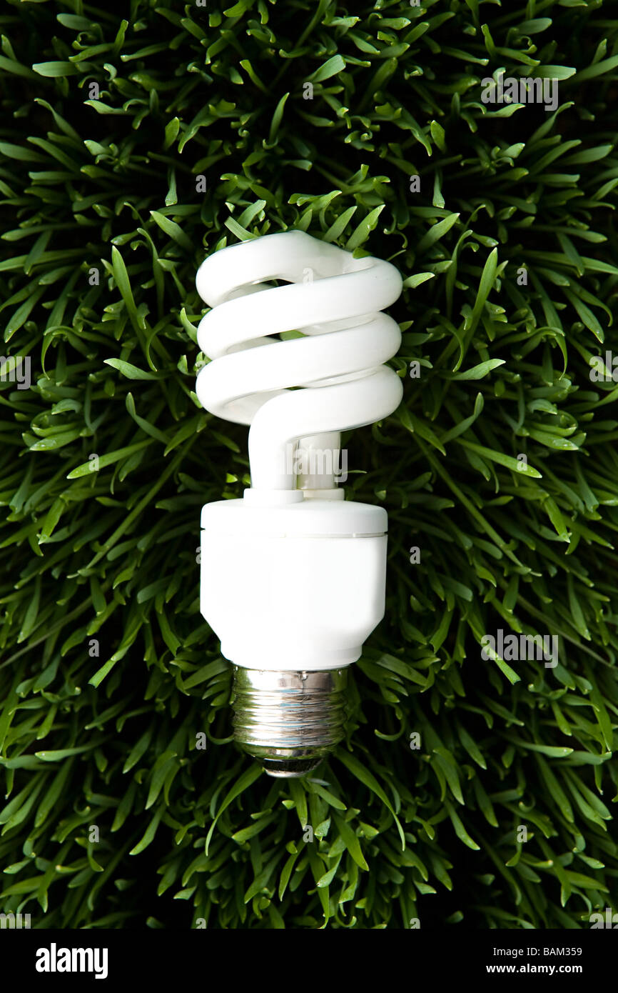 Eine energiesparende Glühbirne Stockfoto