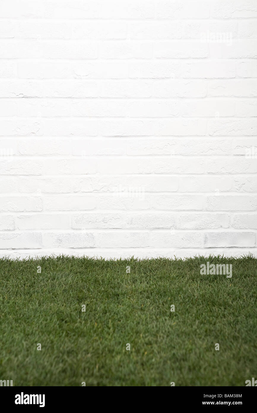 Gewächshausansaat Grass Stockfoto