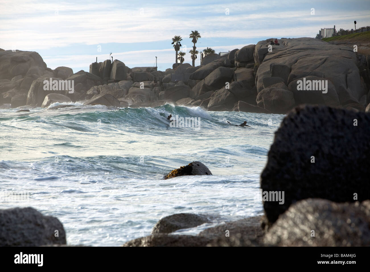 Surfer am Strand von Camps Bay, Cape Town, Südafrika Stockfoto