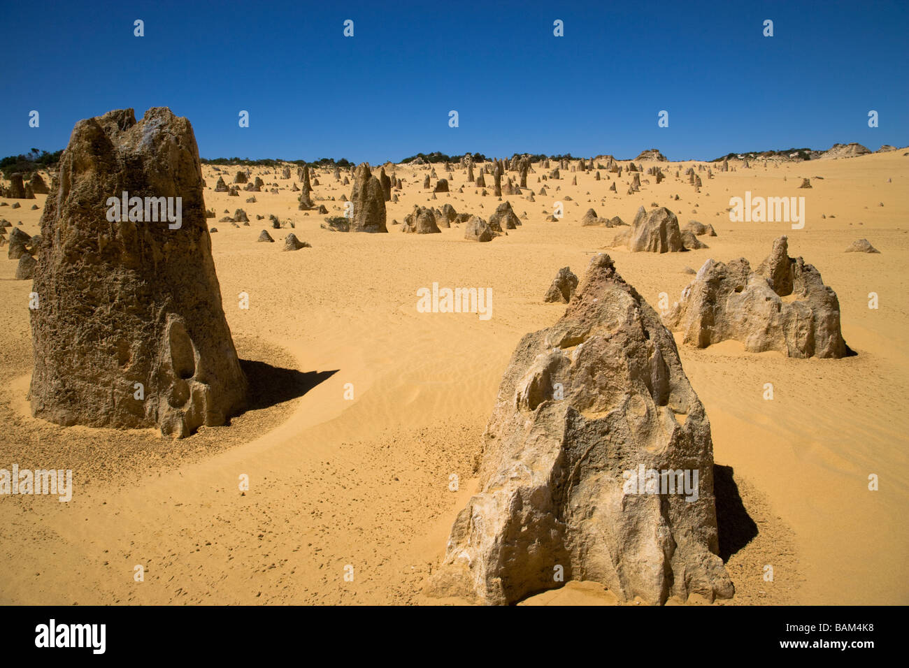 Pinnacles Desert an einem warmen West Australian Nachmittag Stockfoto