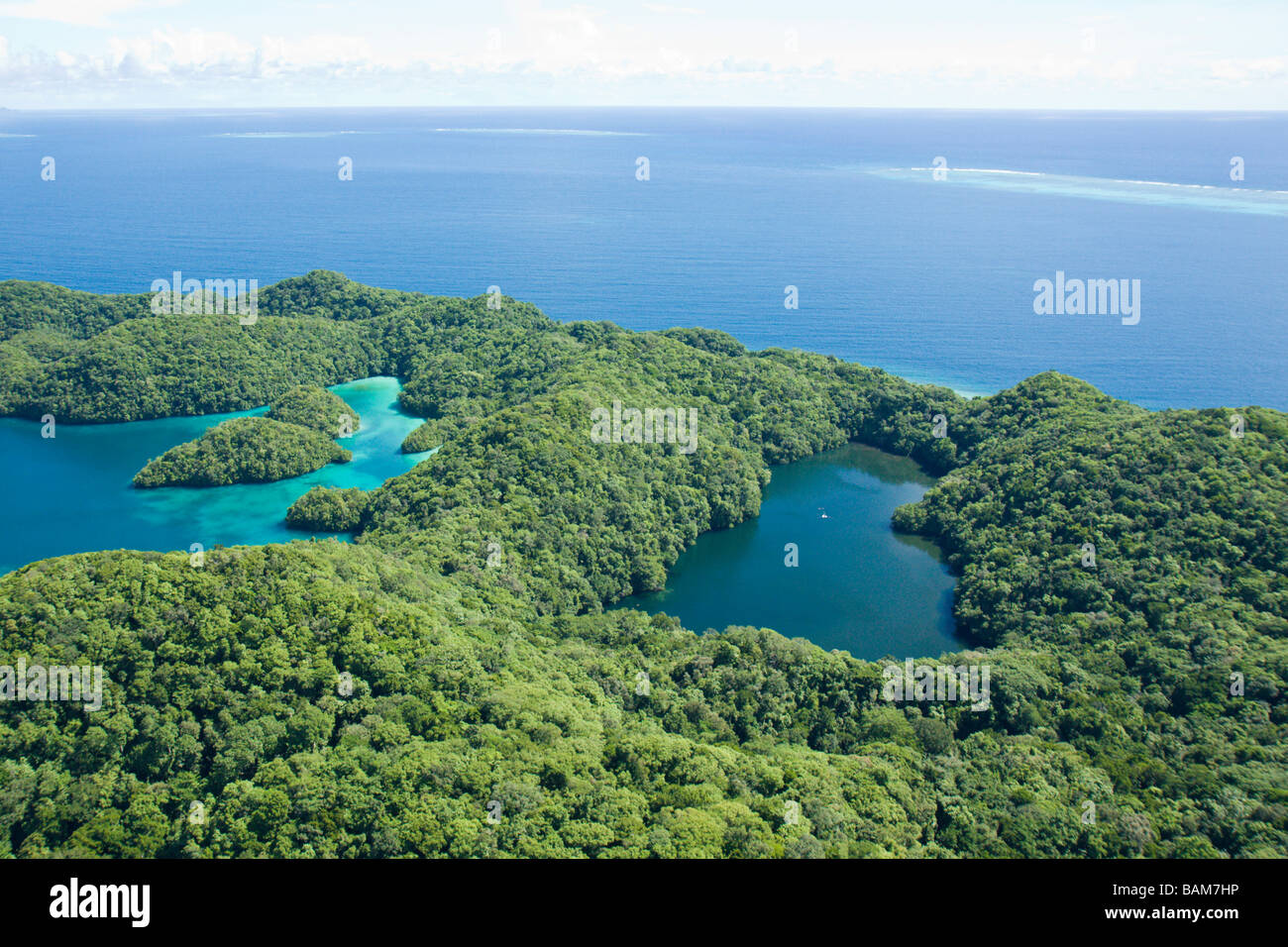 Luftbild Jellyfish Lake pazifischen Mikronesien Palau Stockfoto