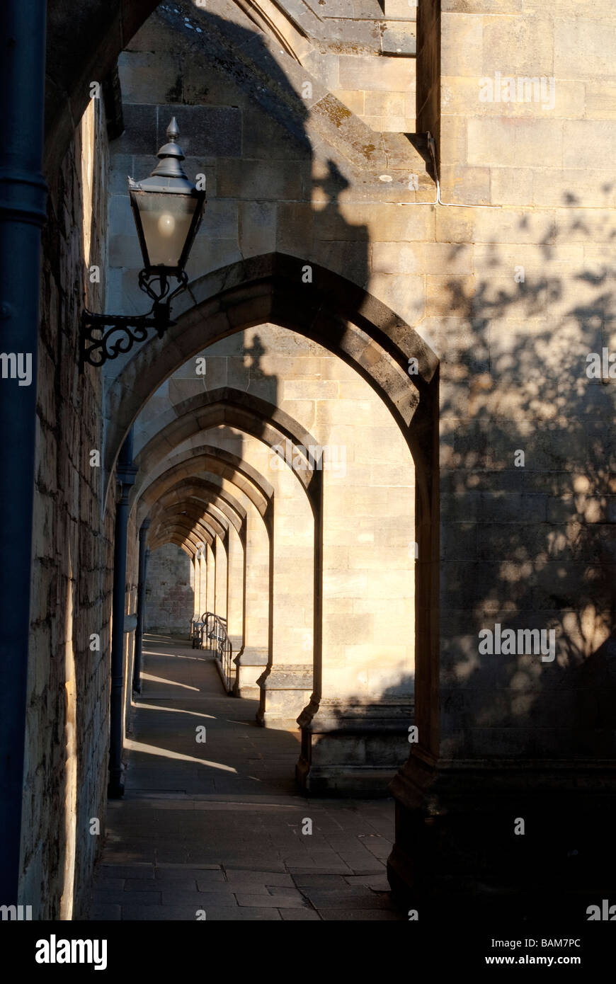 Winchester Cathedral fliegenden Steinstrehlen Stockfoto