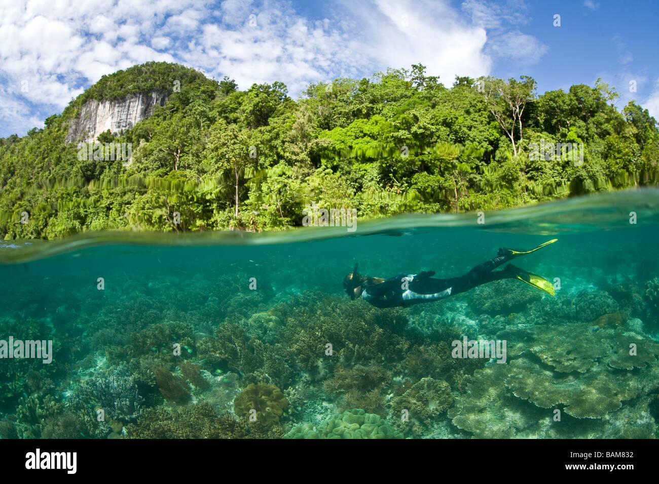 Split-Bild von Korallenriff Raja Ampat West Papua Indonesien Stockfoto