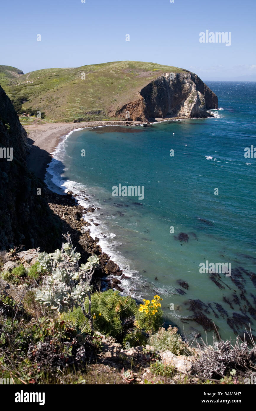 Scorpion Cove, Insel Santa Cruz, Channel Islands Nationalpark, Kalifornien Stockfoto