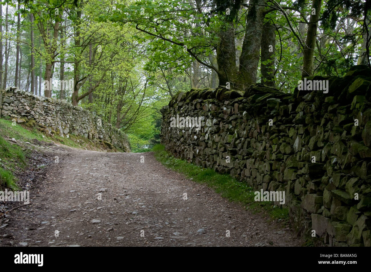 Stein eingemauert Fußweg durch den Wald in der Nähe von Ullswater, Lake District, Cumbria, England Stockfoto