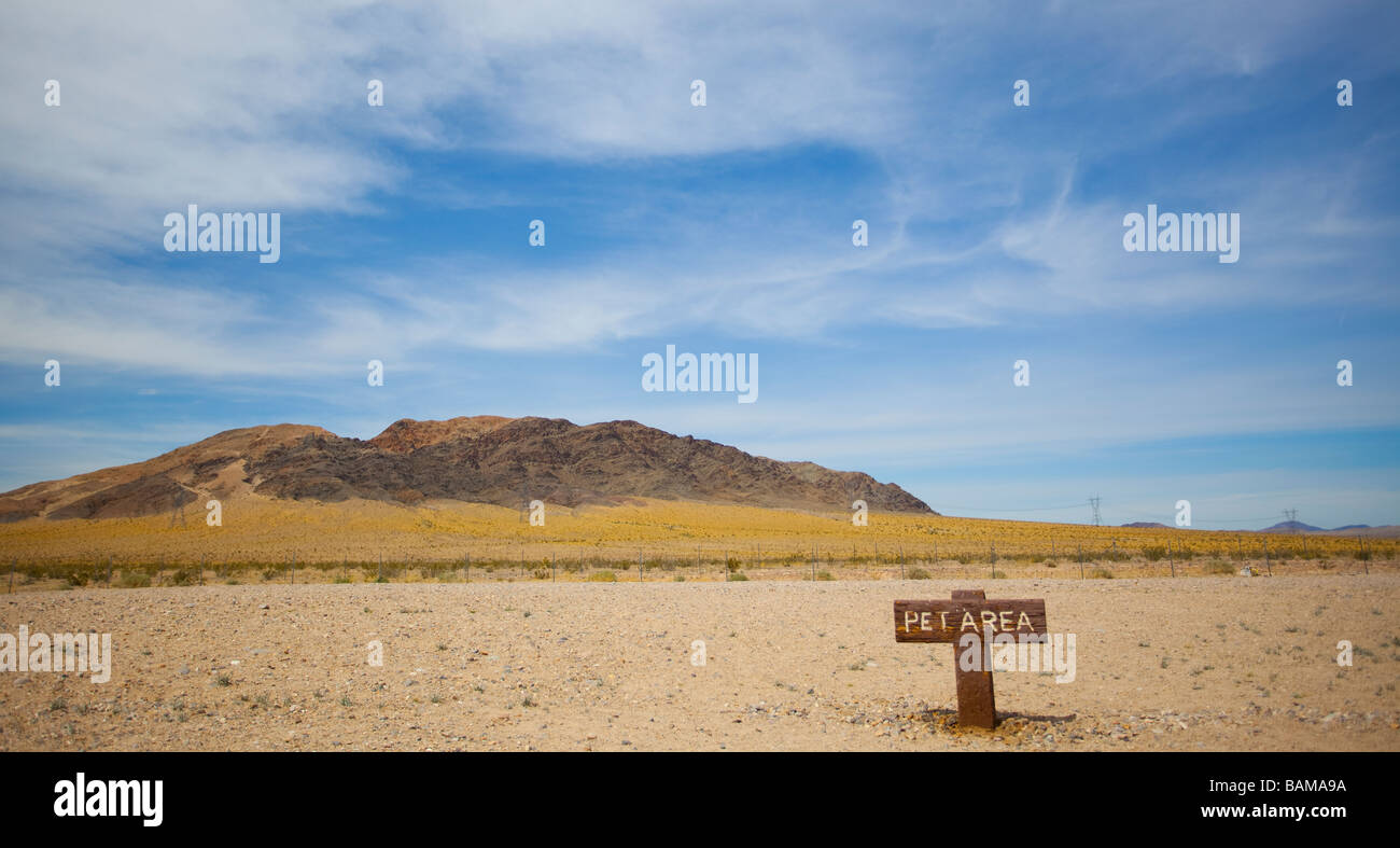 Pet-Bereich Zeichen in der Mojave Wüste Joshua Tree National Park, Southern California, USA. Stockfoto