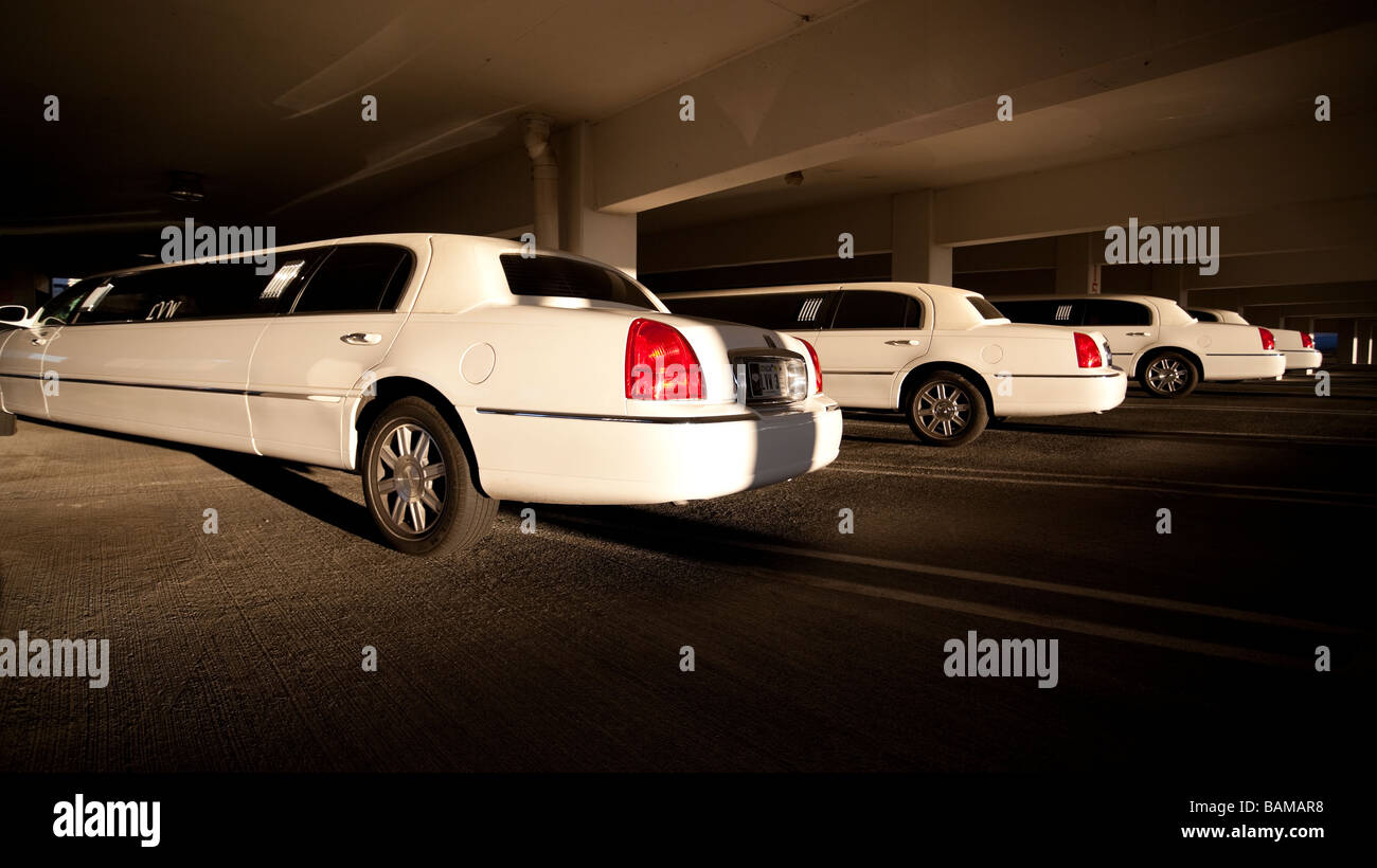 Mehrere weiße Limousinen parkten auf einem Parkplatz, Las Vegas, USA. Stockfoto