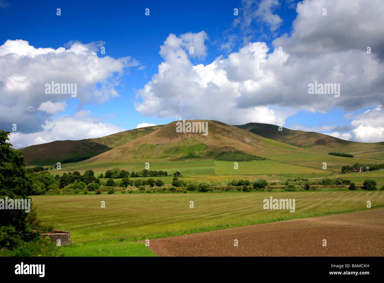 Sommerlandschaft einen Bergrücken und das Tal in der Nähe von Broughton Village oberen Tweeddale Schottland Großbritannien UK Stockfoto