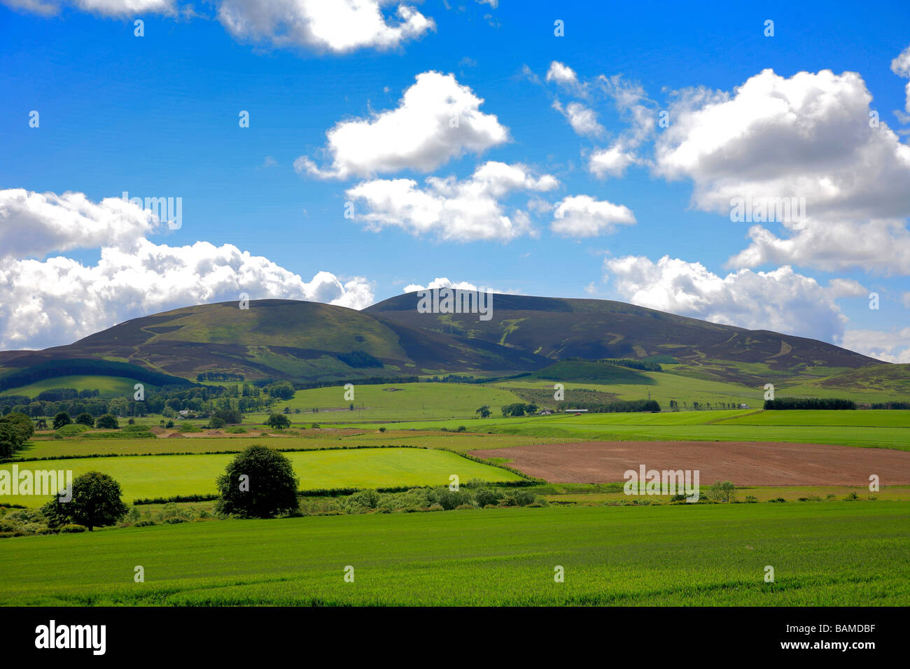 Sommerlandschaft der Tinto Hügel in der Nähe von Biggar Stadt oberen Tweeddale Schottland Großbritannien UK Stockfoto