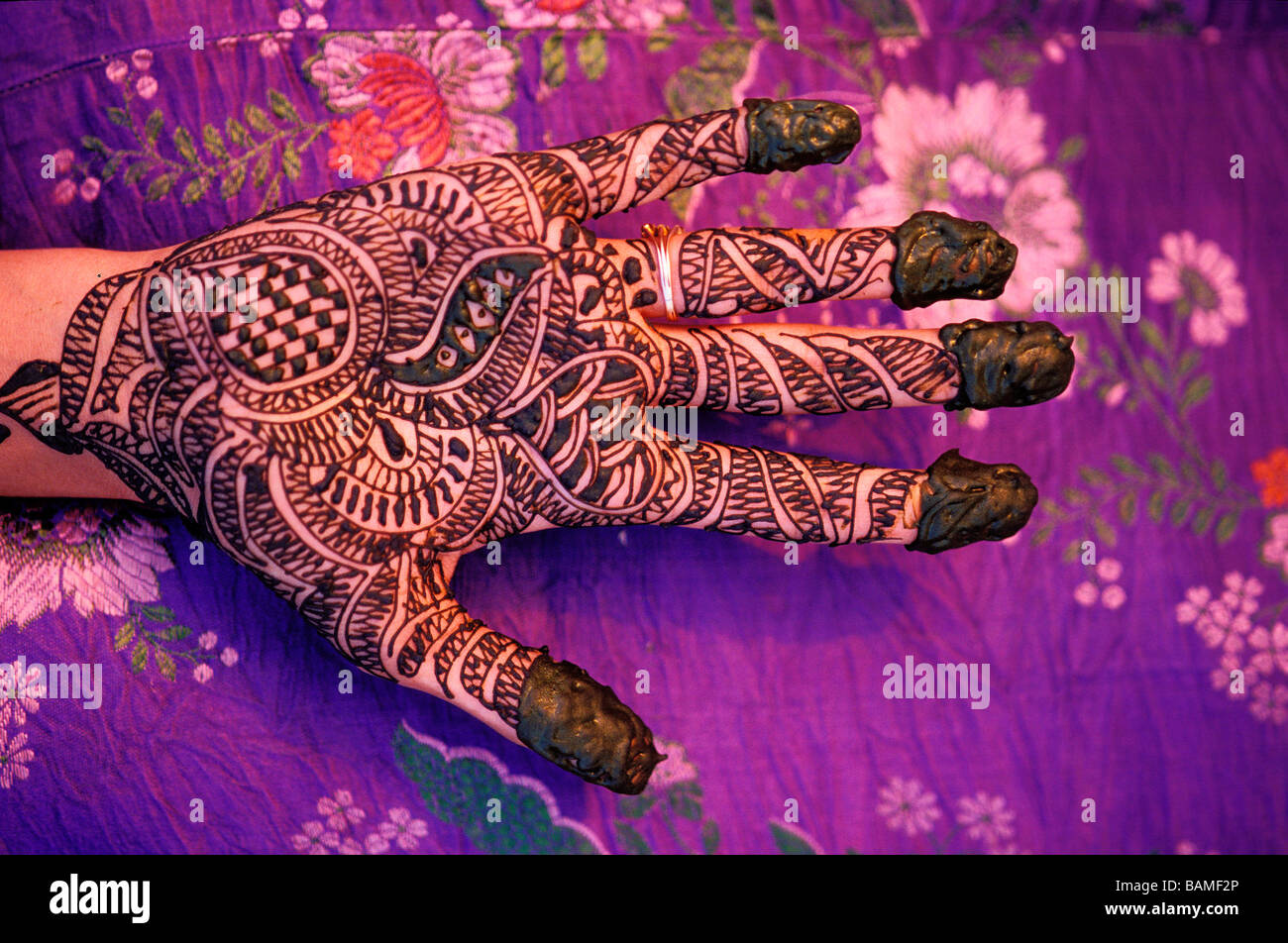 Indien, Rajasthan State, henna-Muster auf Seite Stockfoto