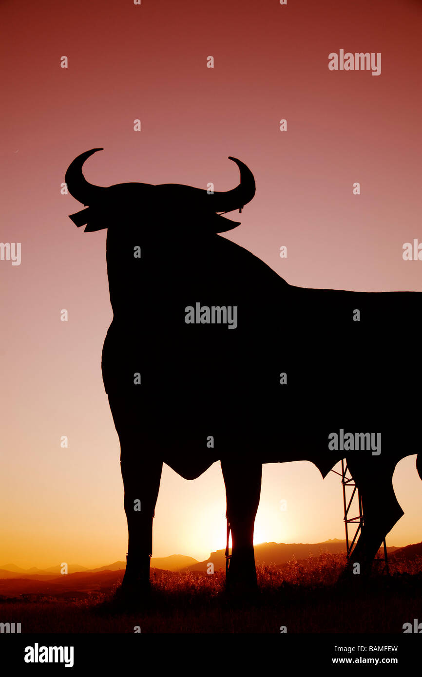 Osborne-Stier bei Sonnenuntergang in Casabermeja Malaga Andalusien Spanien Stockfoto