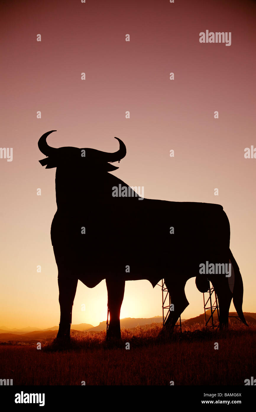 Osborne-Stier bei Sonnenuntergang in Casabermeja Malaga Andalusien Spanien Stockfoto