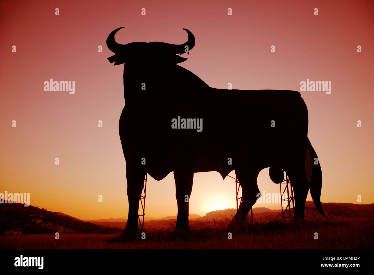 Osborne-Stier bei Sonnenuntergang in Casabermeja Malaga Andalusien Spanien Stockfoto