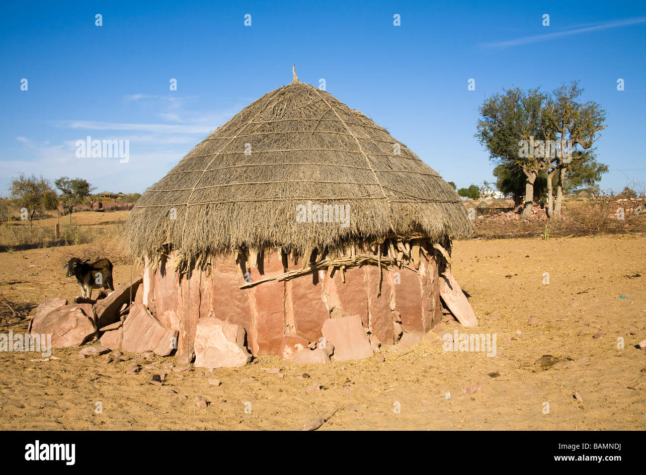 Strohgedeckte Hütte auf einem Bauernhof in der Nähe von Osian, Rajasthan, Indien Stockfoto
