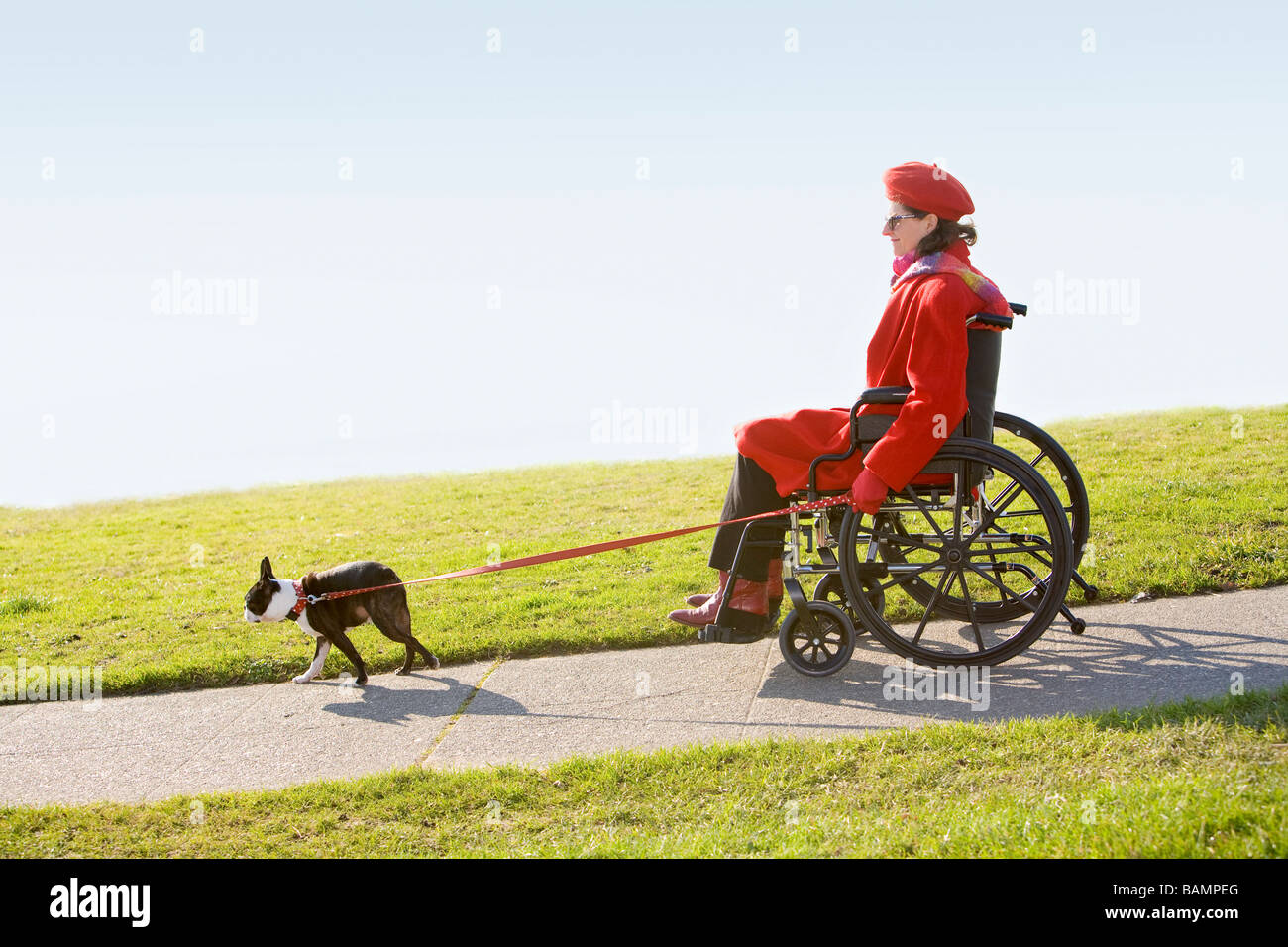 Frau im Rollstuhl, die mit ihrem Hund spazieren Stockfoto