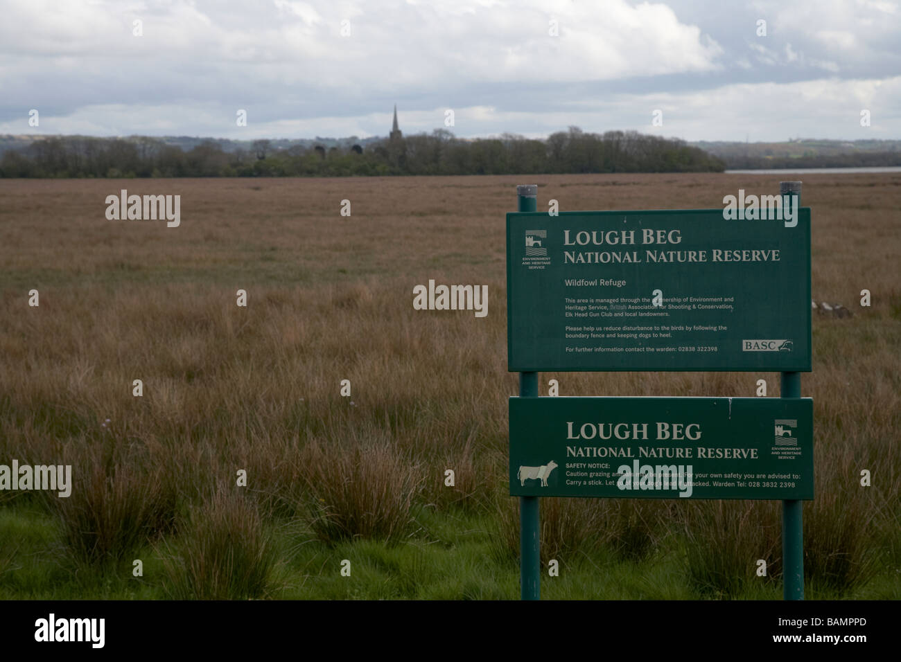 Lough Beg National Nature Reserve und Kirche Insel im Hintergrund County Derry Londonderry Nordirland Vereinigtes Königreich Stockfoto