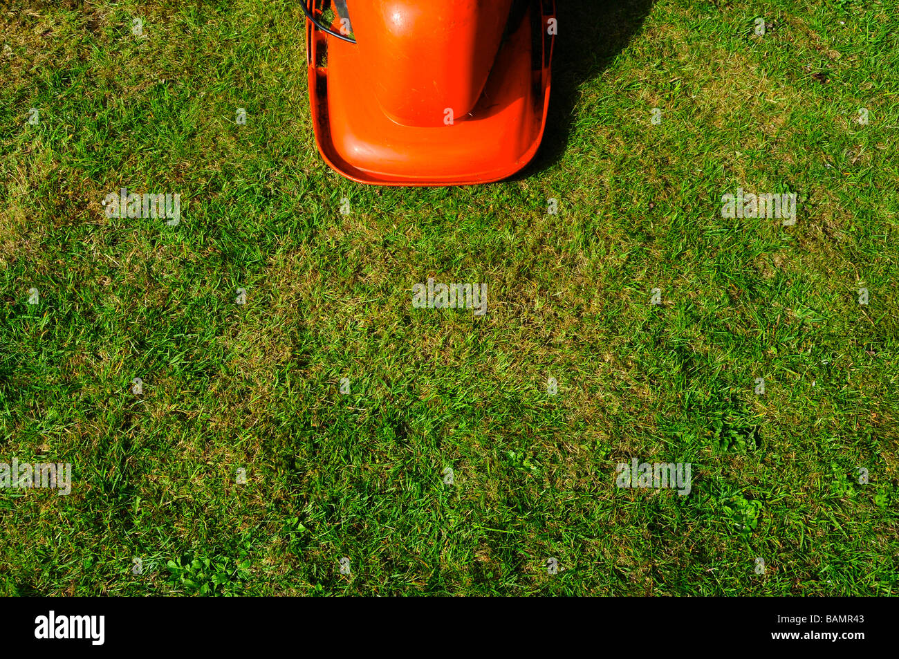 Das Rasenmähen mit orange Flymo Mäher Stockfoto