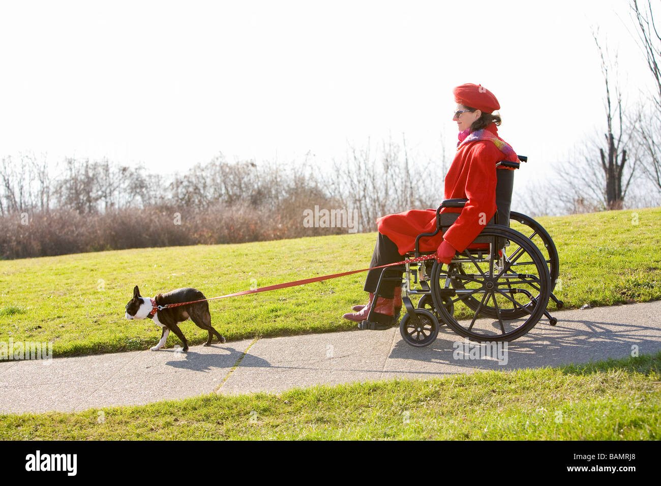 Frau im Rollstuhl, die mit ihrem Hund spazieren Stockfoto