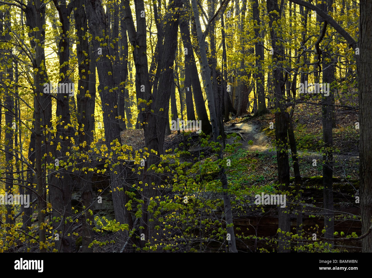 Bruce Brunnenweg Ontario Stockfoto