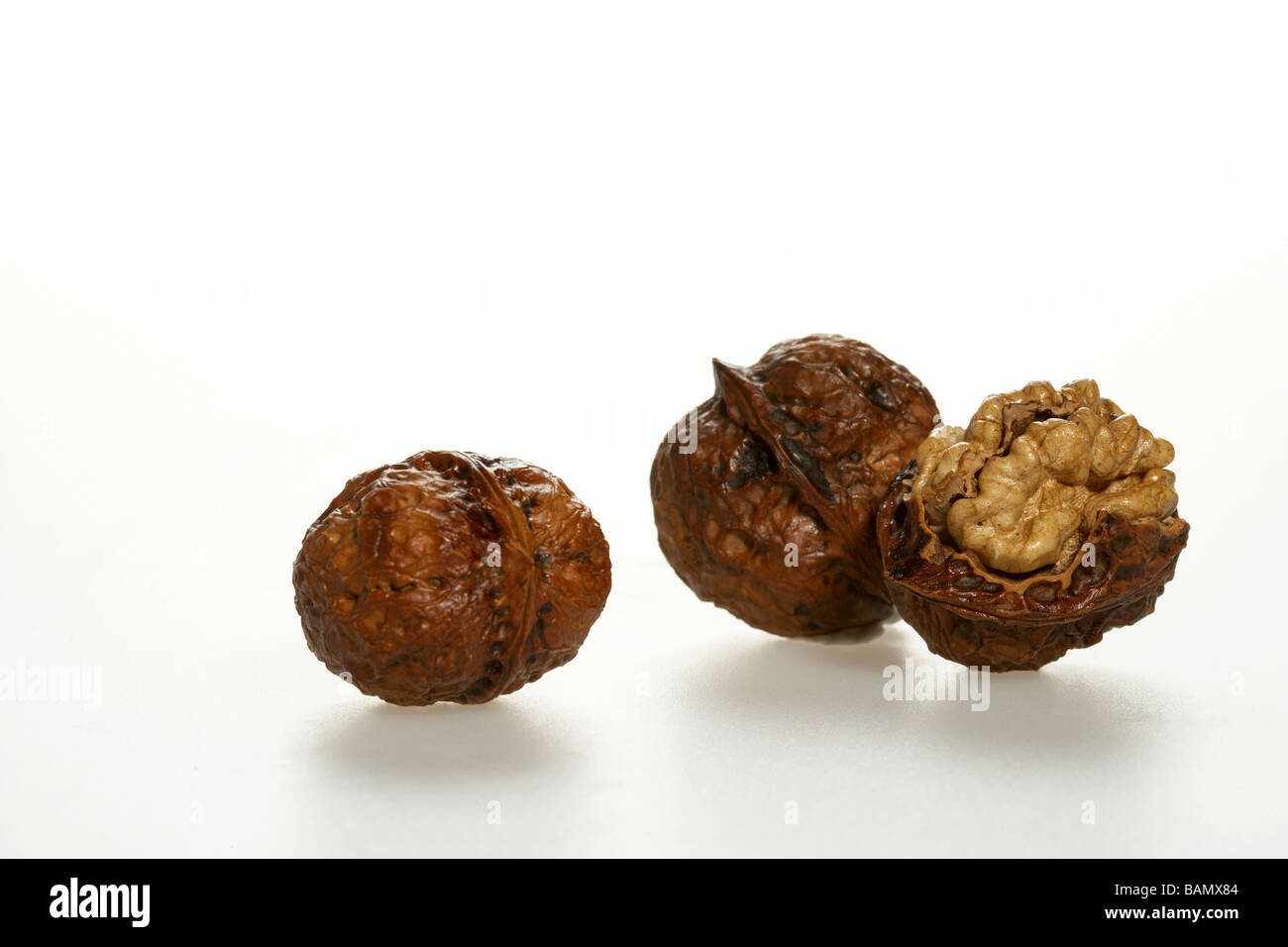 Ganze und geöffnete Walnüsse Stockfoto