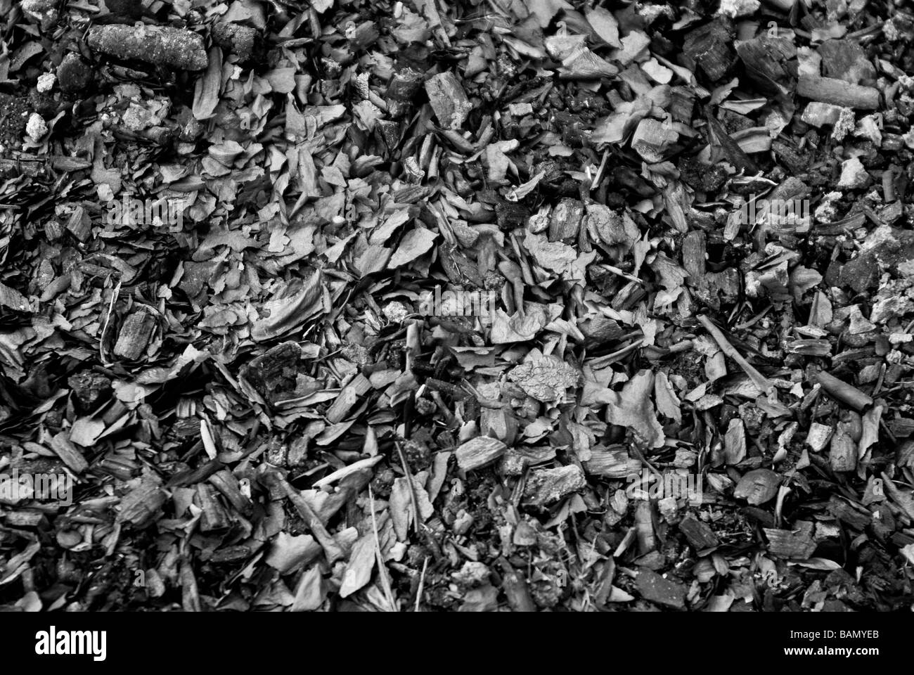 Reste eines Kamins. Verbrannte Kohle, Holz und Asche. Schwarz / weiß Hintergrund. Stockfoto