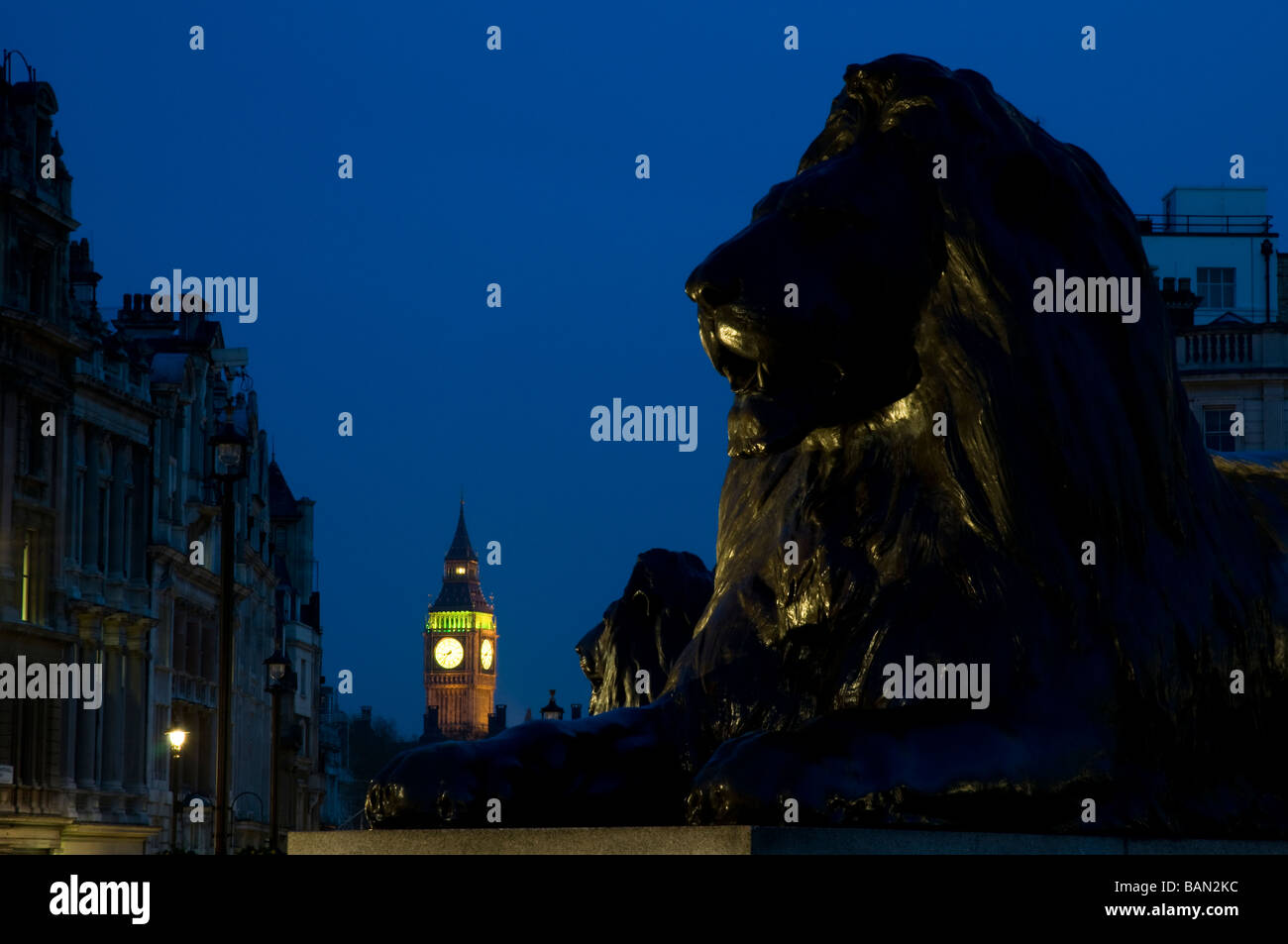 Landseer Löwe auf dem Trafalgar Square in der Nacht mit Big Ben im Hintergrund Stockfoto