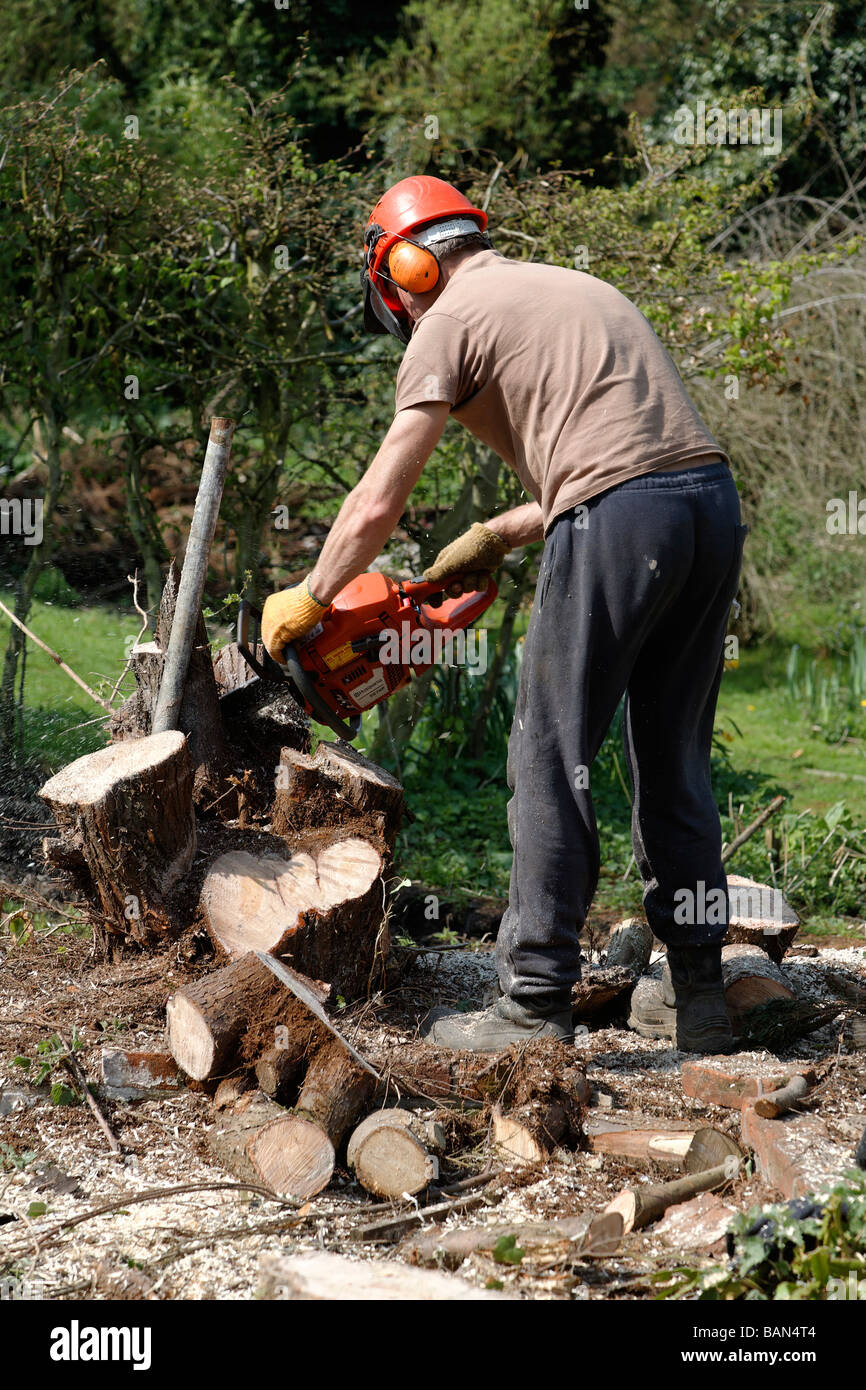 Mann mit Kettensäge schneiden Baumstumpf. Er trägt einen Helm Protektor  aber nicht voll Arbeitsschutz Schutzkleidung Stockfotografie - Alamy