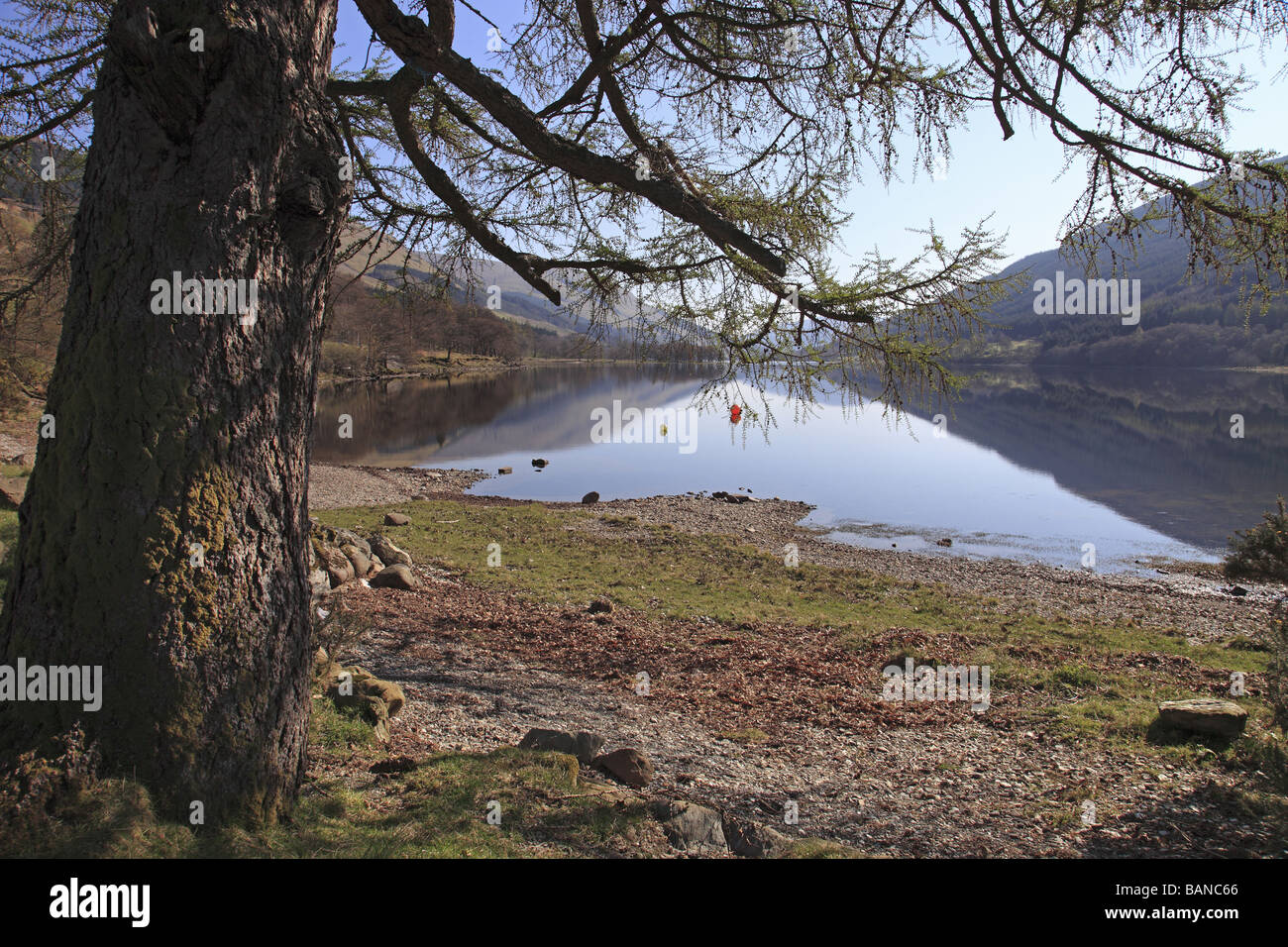 Schöne Reflexionen im Loch Voil, in der Nähe von Balquhidder, Perthshire Stockfoto