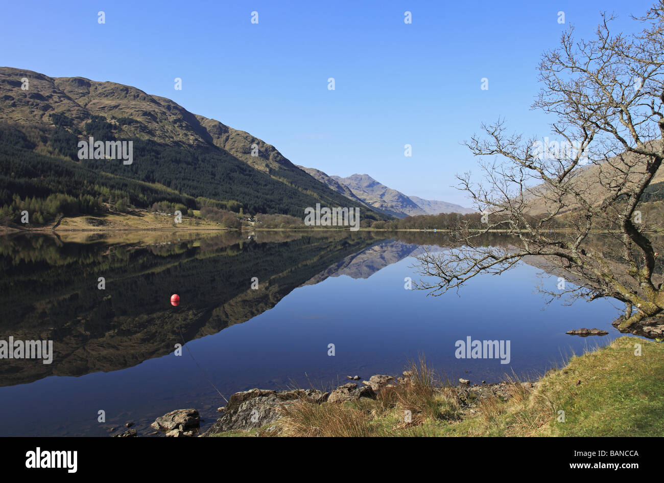 Schöne Reflexionen im Loch Voil, in der Nähe von Balquhidder, Perthshire Stockfoto