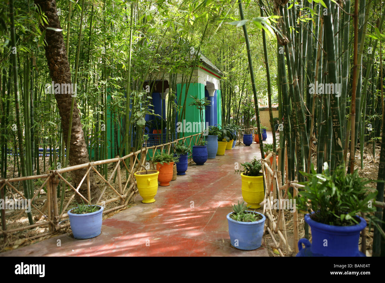 Jardin Marjorelle, Marrakesch, Marokko. Erstellt von Maler Jacques Marjorelle im Jahr 1924 kaufte von Yves Saint Laurent für Stadt Stockfoto