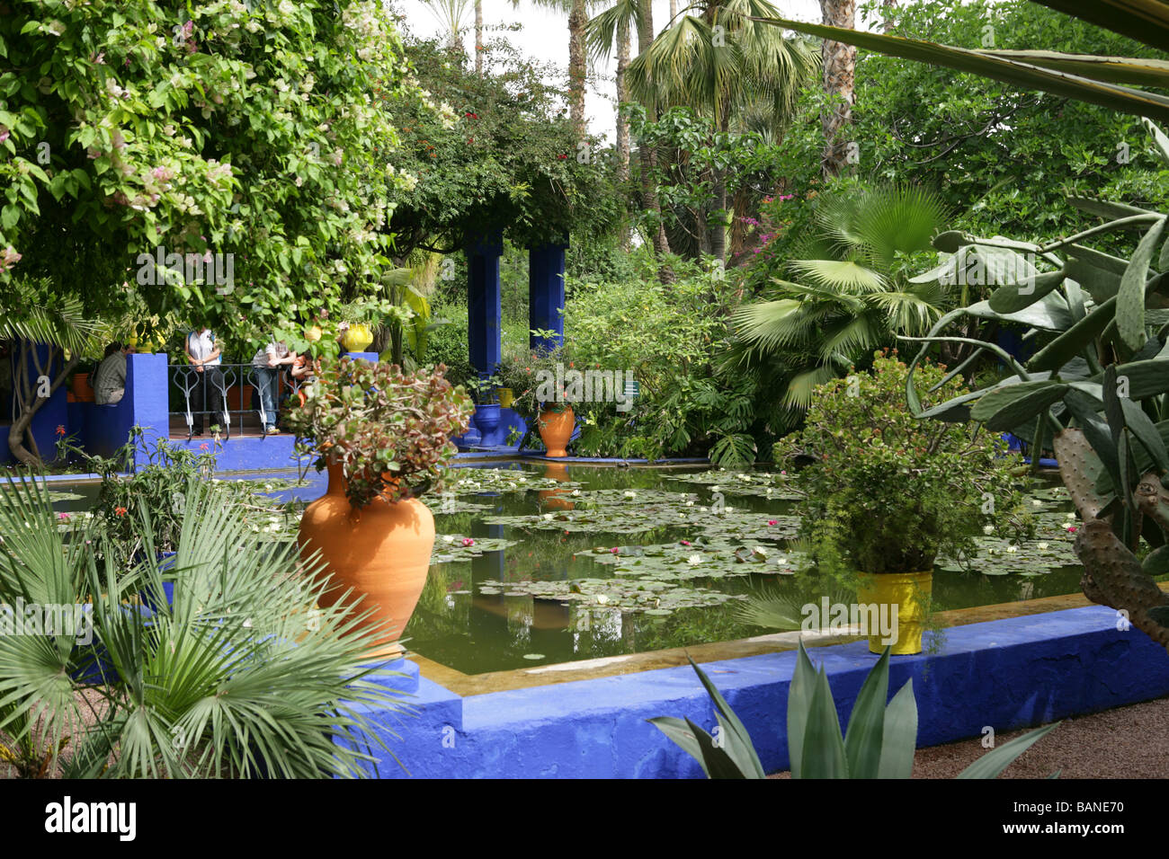 Jardin Marjorelle, Marrakesch, Marokko. Erstellt von Maler Jacques Marjorelle im Jahr 1924 kaufte von Yves Saint Laurent für Stadt Stockfoto