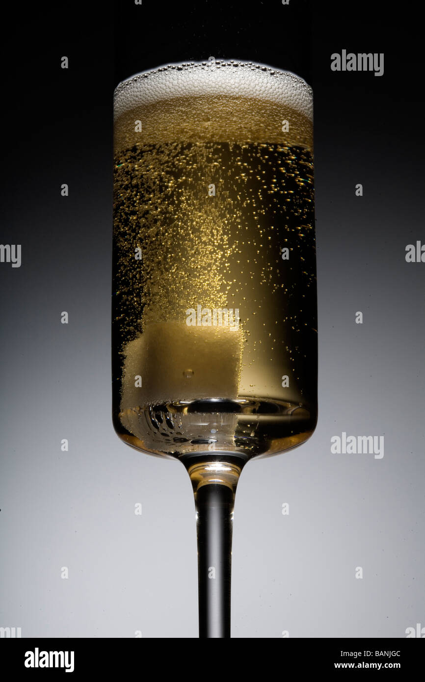 Champagner-Cocktail mit sprudelnden Zuckerwürfel Stockfoto