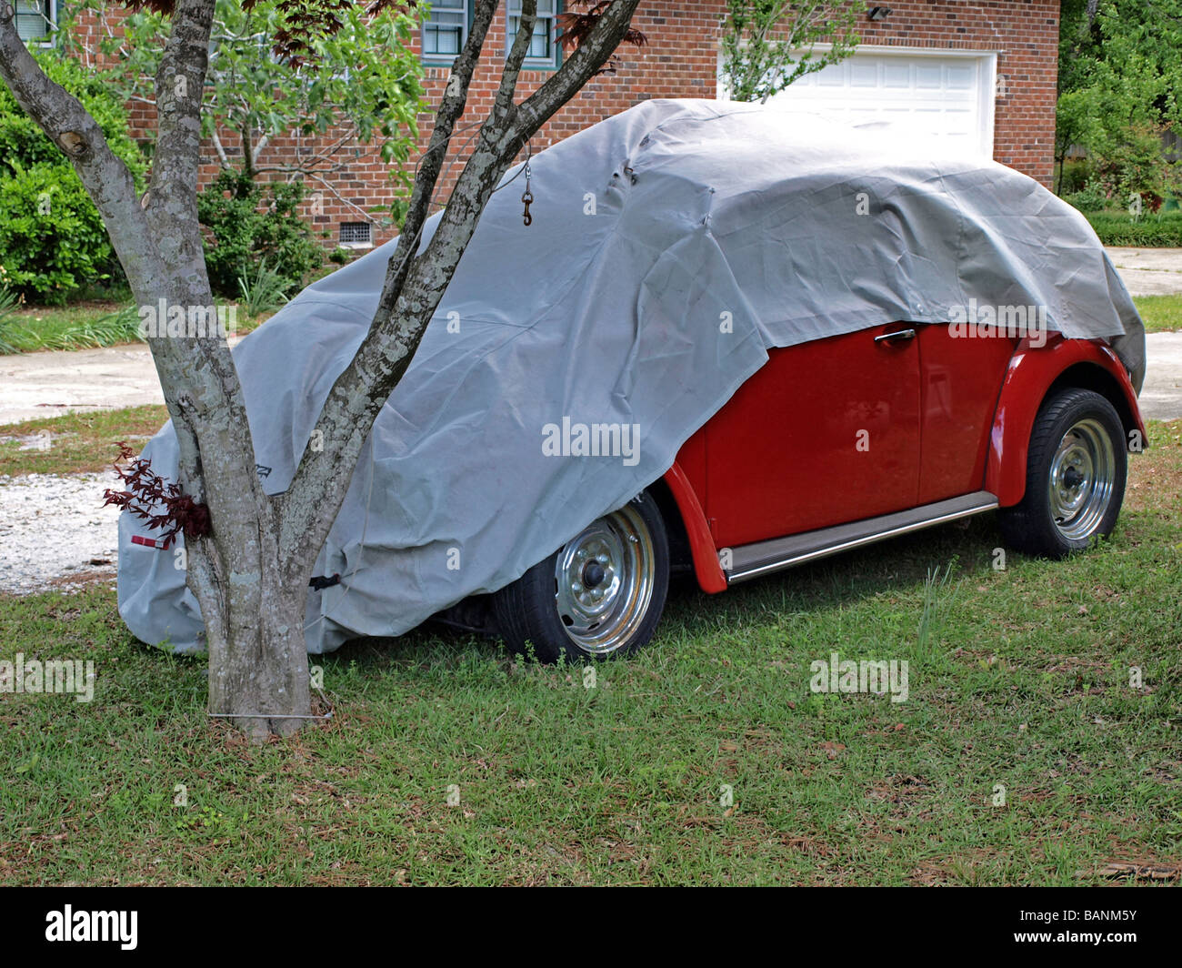 Auto Auto, rote teilweise fallenden Tuch Tarp, Käfer Käfer Volkswagen original sitzen auf Rasen Hof Stockfoto